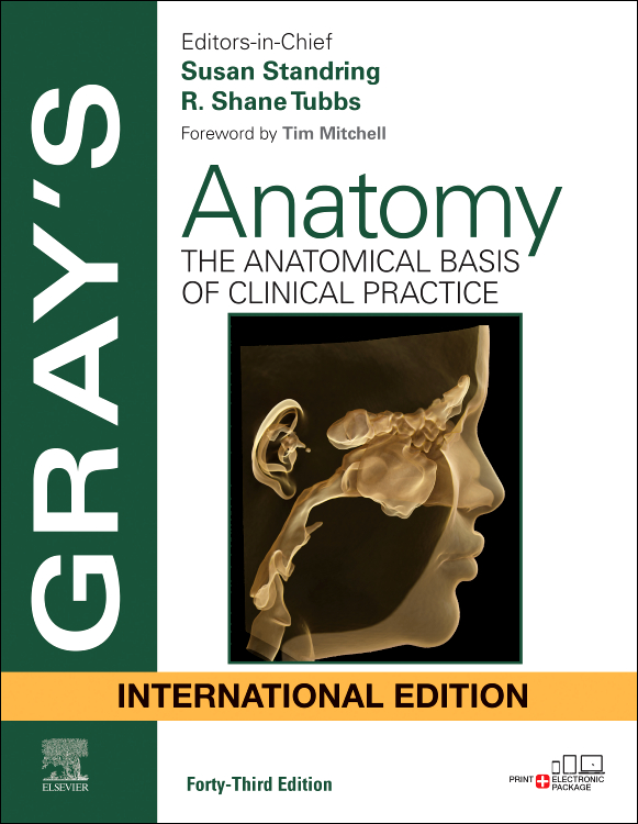 Gray's Anatomy The Anatomical Basis of Clinical Practice